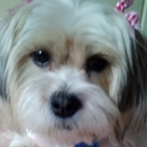 Meet your Posher, Kathleen